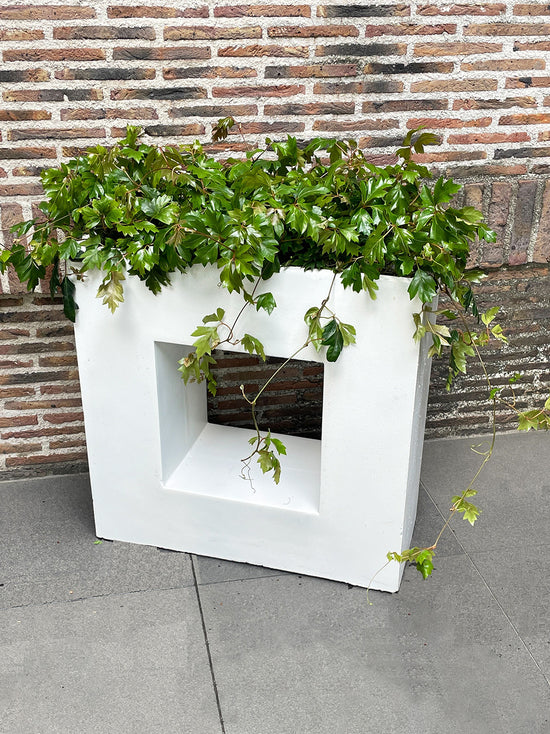 【観葉植物寄せ鉢_アレンジセット】230508入荷